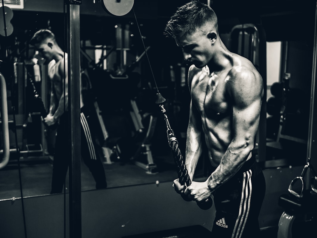 Supplement Information Guide